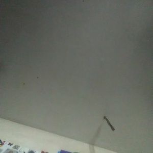 Meet your Posher, Braden